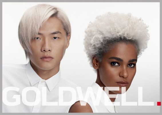 Goldwell 13